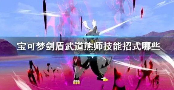 武道熊师简介